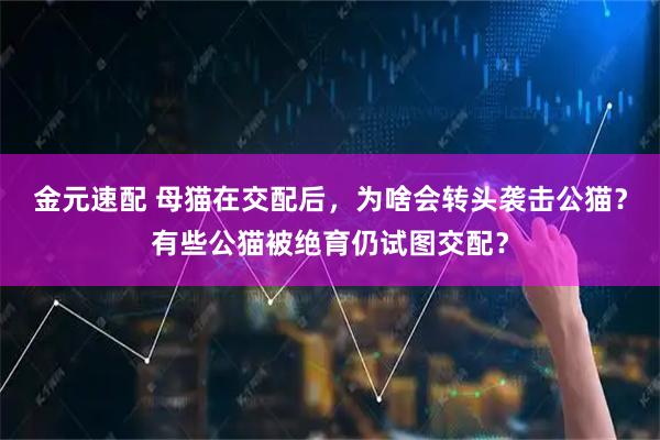 金元速配 母猫在交配后，为啥会转头袭击公猫？有些公猫被绝育仍试图交配？