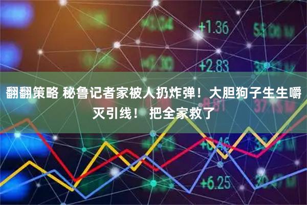 翻翻策略 秘鲁记者家被人扔炸弹！大胆狗子生生嚼灭引线！ 把全家救了