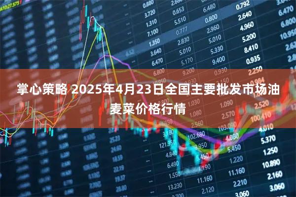 掌心策略 2025年4月23日全国主要批发市场油麦菜价格行情