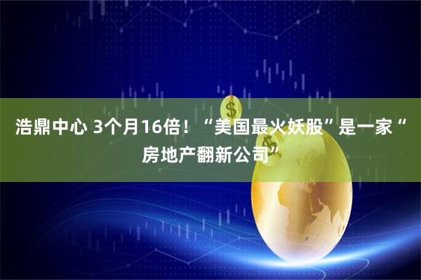 浩鼎中心 3个月16倍！“美国最火妖股”是一家“房地产翻新公司”