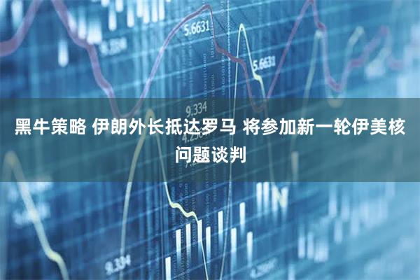 黑牛策略 伊朗外长抵达罗马 将参加新一轮伊美核问题谈判