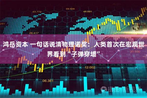 鸿岳资本 一句话说清物理诺奖：人类首次在宏观世界看到“子弹穿墙”