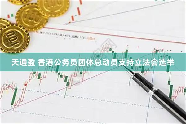 天通盈 香港公务员团体总动员支持立法会选举