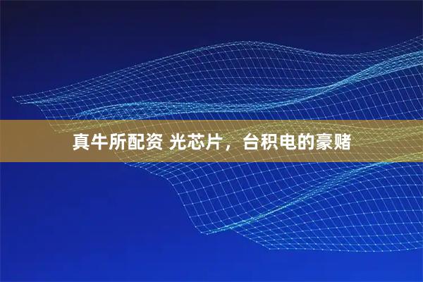 真牛所配资 光芯片，台积电的豪赌