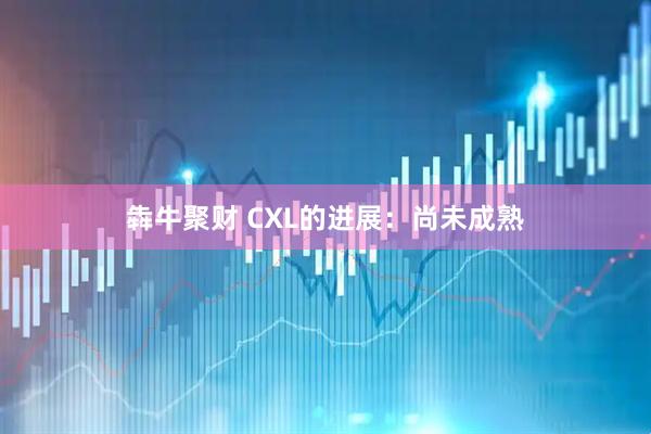 犇牛聚财 CXL的进展：尚未成熟