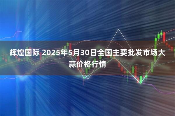 辉煌国际 2025年5月30日全国主要批发市场大蒜价格行情