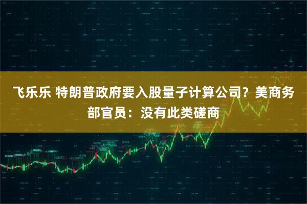 飞乐乐 特朗普政府要入股量子计算公司？美商务部官员：没有此类磋商